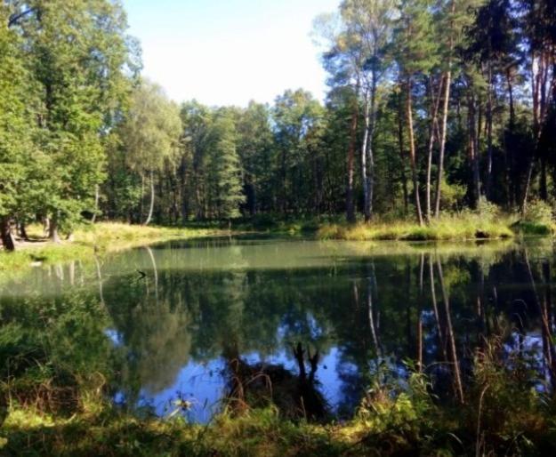Apartament Pod Lasem Tenczynek Zewnętrze zdjęcie